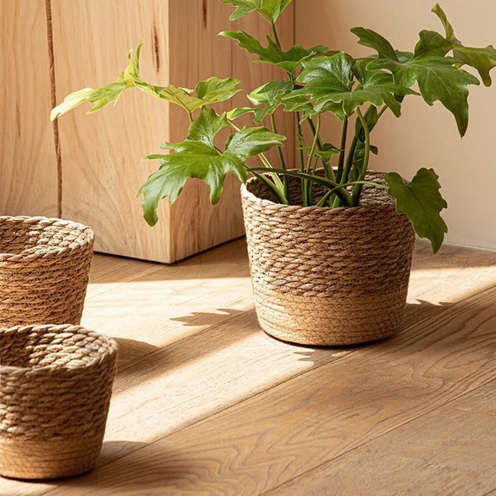 Cachepô Artesanal em Fibra Natural – 3 Tamanhos - Aconchega