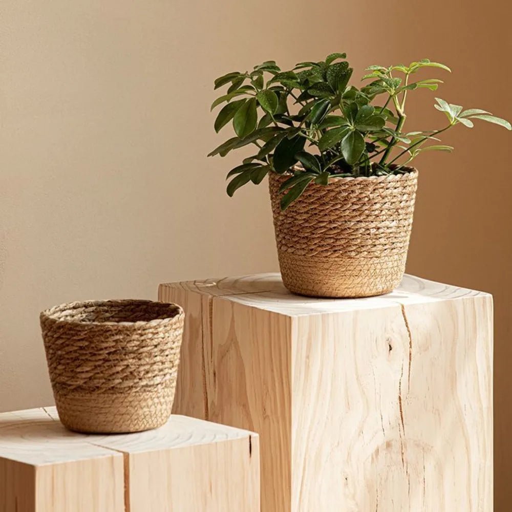 Cachepô Artesanal em Fibra Natural – 3 Tamanhos - Aconchega